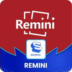 Remini Pro 